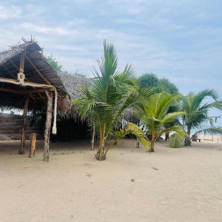 Surfing Beach Nilaveli Trincomalee Extérieur photo